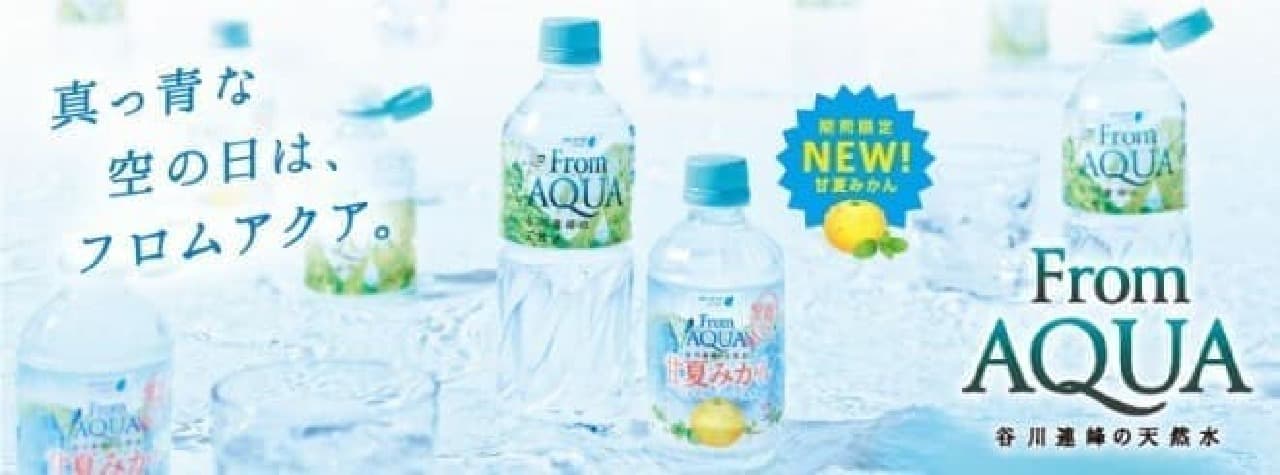 Suica's Penguin Original Natural Water with Sticky Notes "From AQUA"