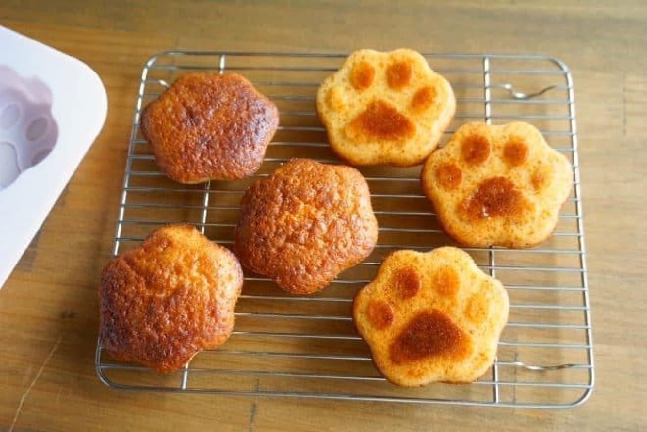 Hundred yen store petit cake type, thick pancake type, Kai sandwich type --3 cute cat type cooking goods
