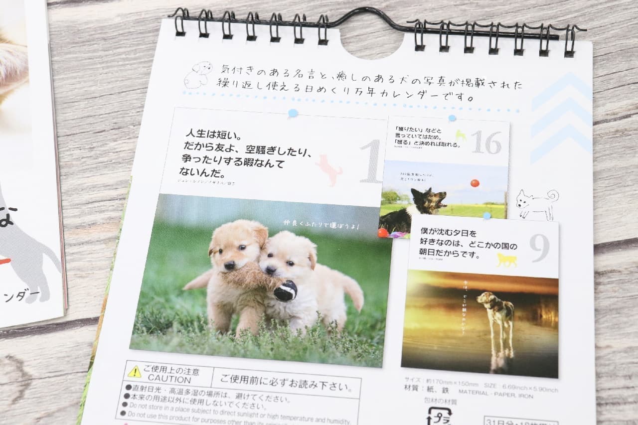 recommendation! Daiso's 4 2020 Calendars--With 3 Years of Great Deals, Cute Animal Photos, and Weekly Turns for Education