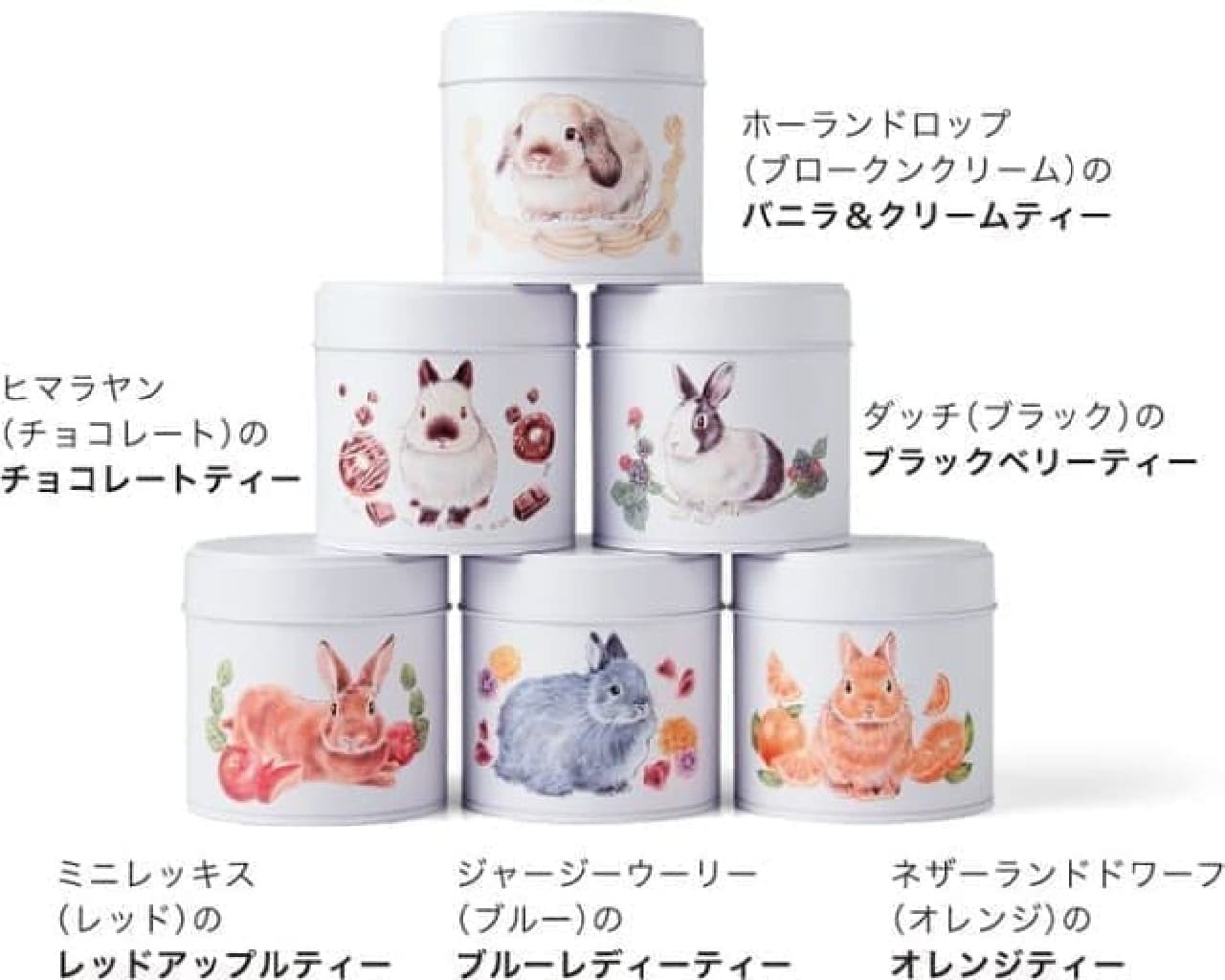 Tea time to enjoy with rabbits ♪ From YOU + MORE! Cute canned tea --Orange tea, vanilla & cream tea, etc.