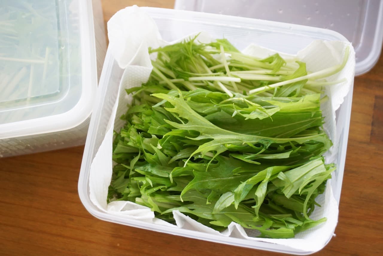 水菜の冷蔵保存方法
