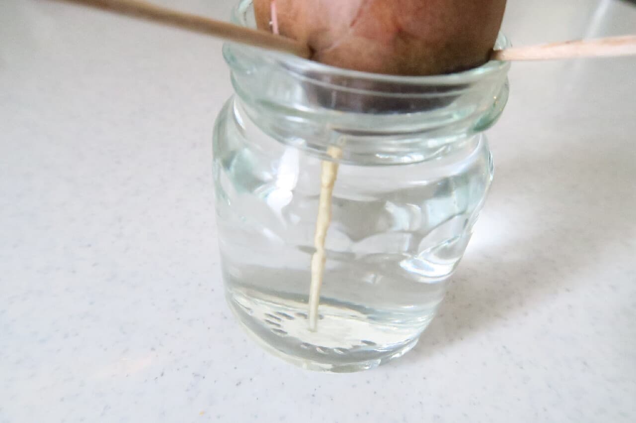 簡単＆ぐんぐん育つ♪ アボカドの種の育て方 -- 空き瓶＋爪楊枝で水耕栽培