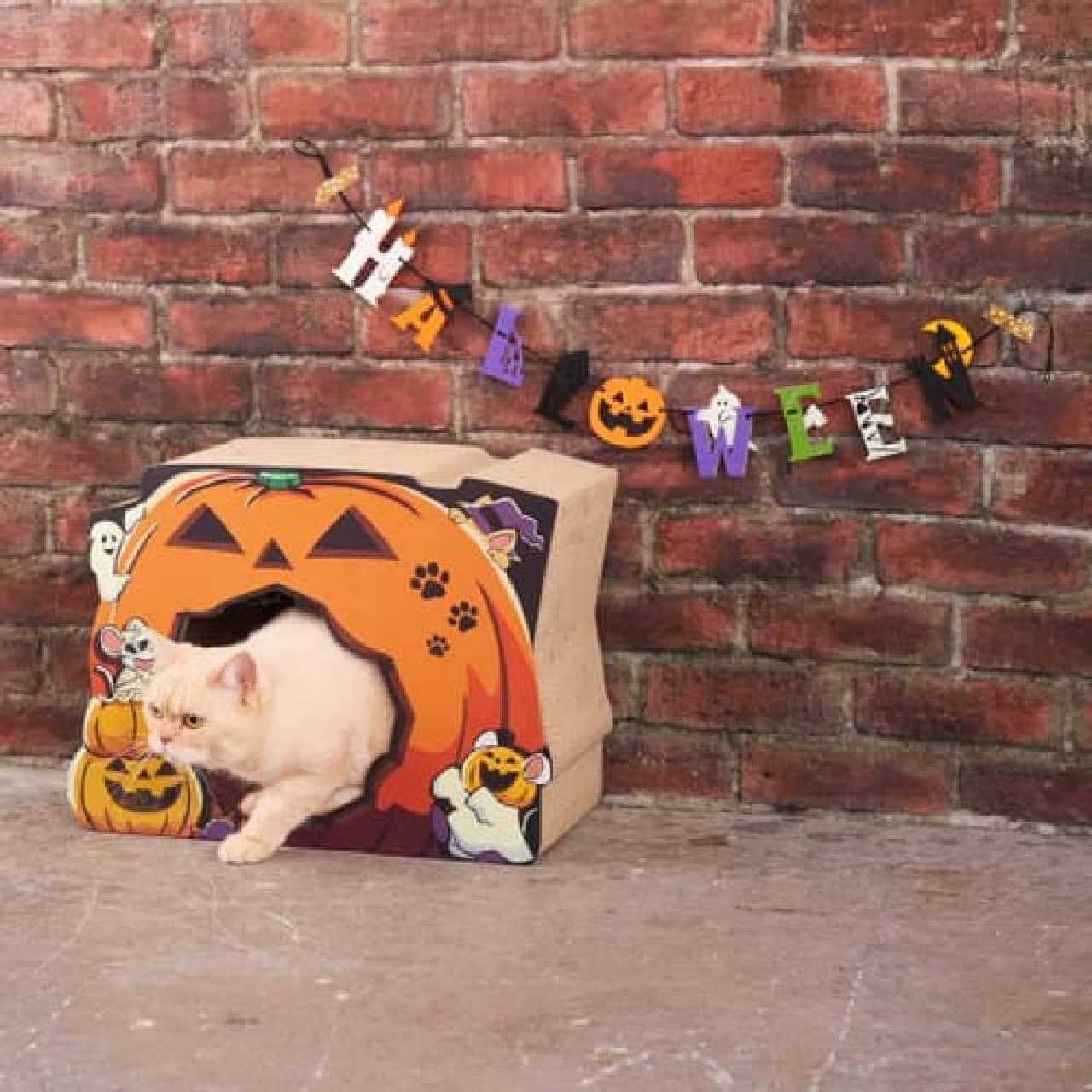 AWESOME STORE Halloween products --Petit plastic decorations, virtual items, etc.
