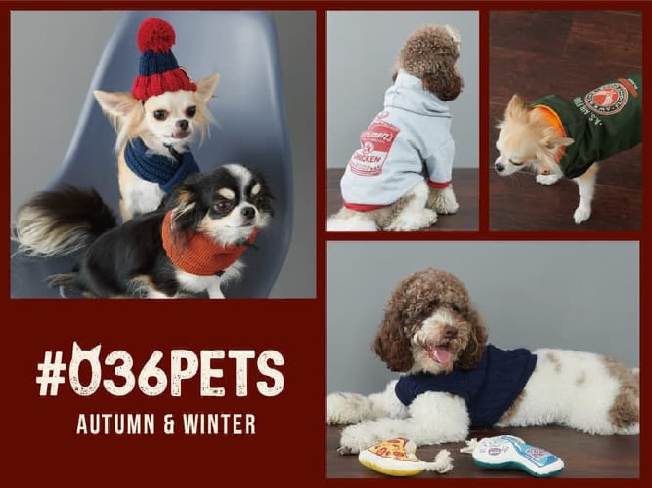 New Pet Goods at AWESOME STORE --Wear and pet bets that shine on SNS! Cat snacks too