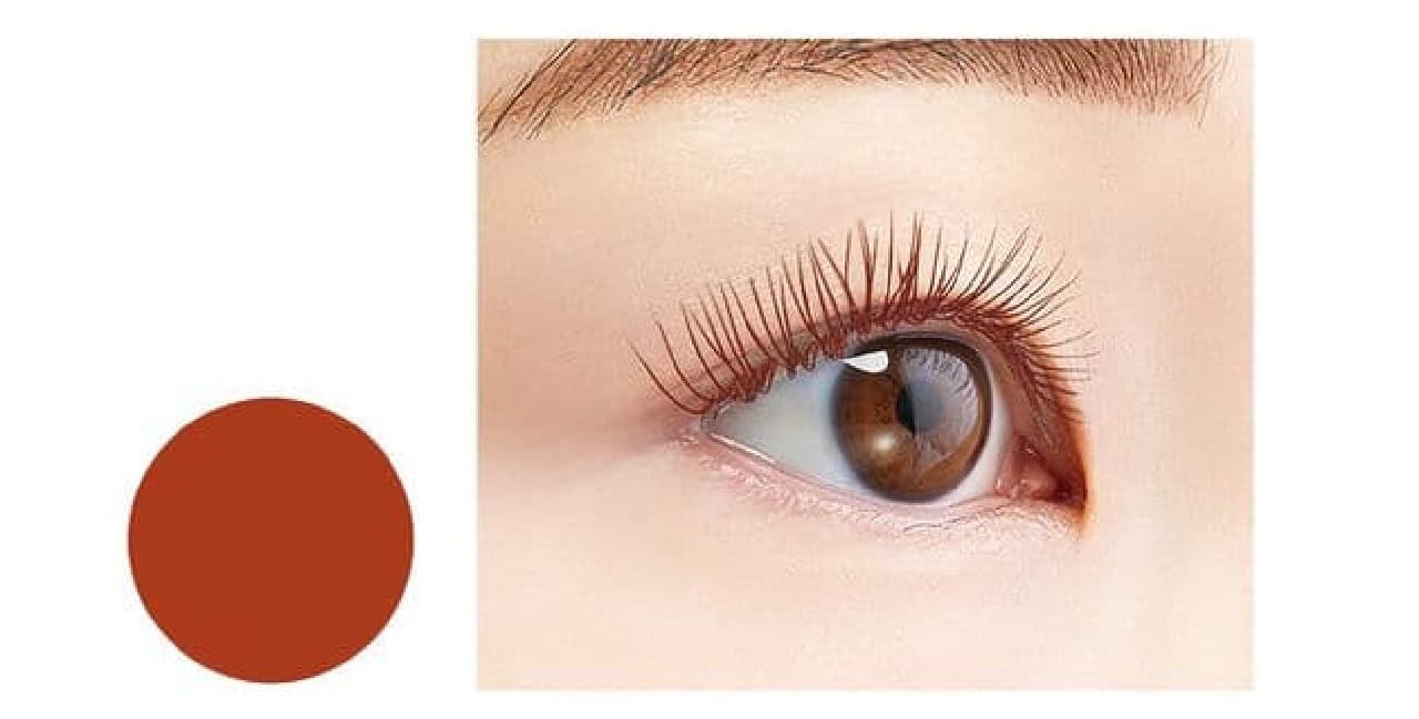 Limited color "bitter orange" of "eyelid glue and mascara for back cover"