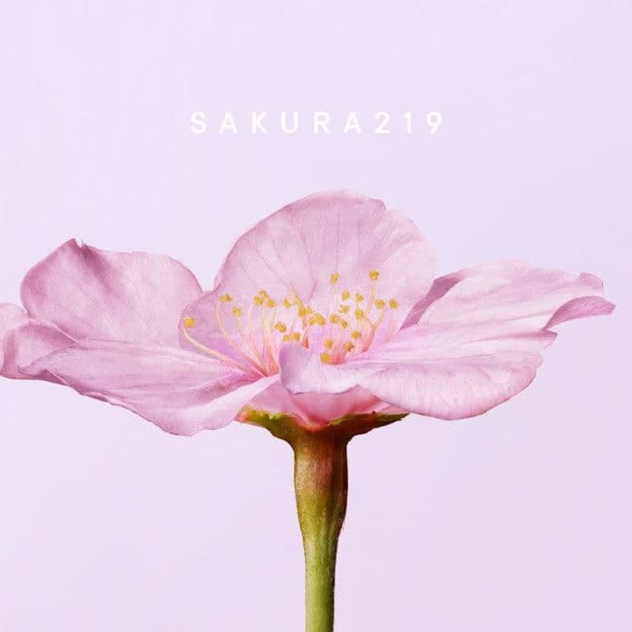 SHIRO "Sakura 219"