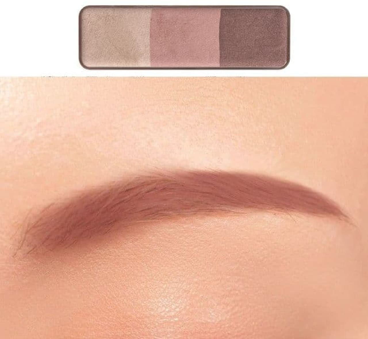"Cezanne Nose & Eyebrow Powder" New Color "05 Coral Brown"
