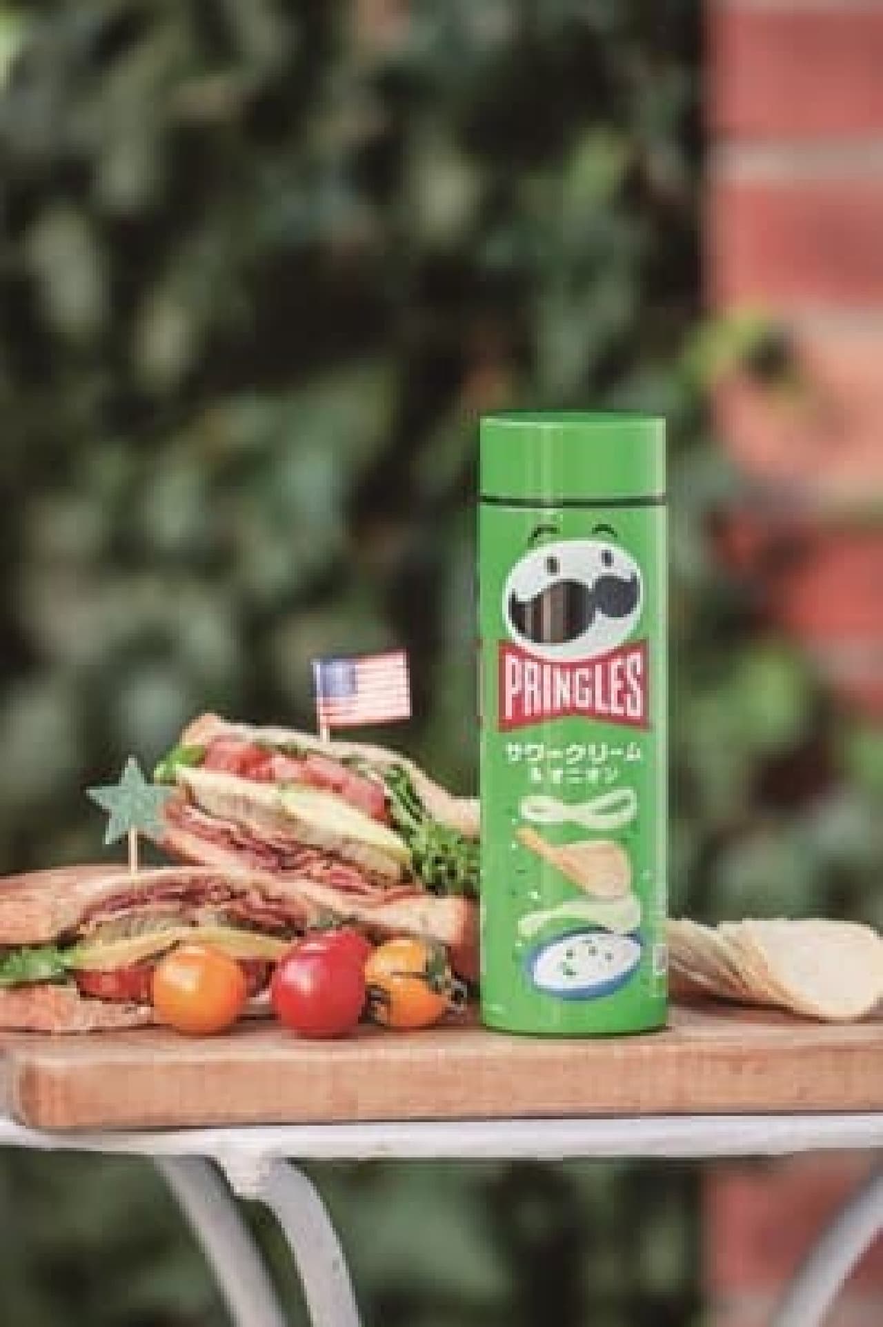 PRINGLES Vacuum Insulated Water Bottle BOOK