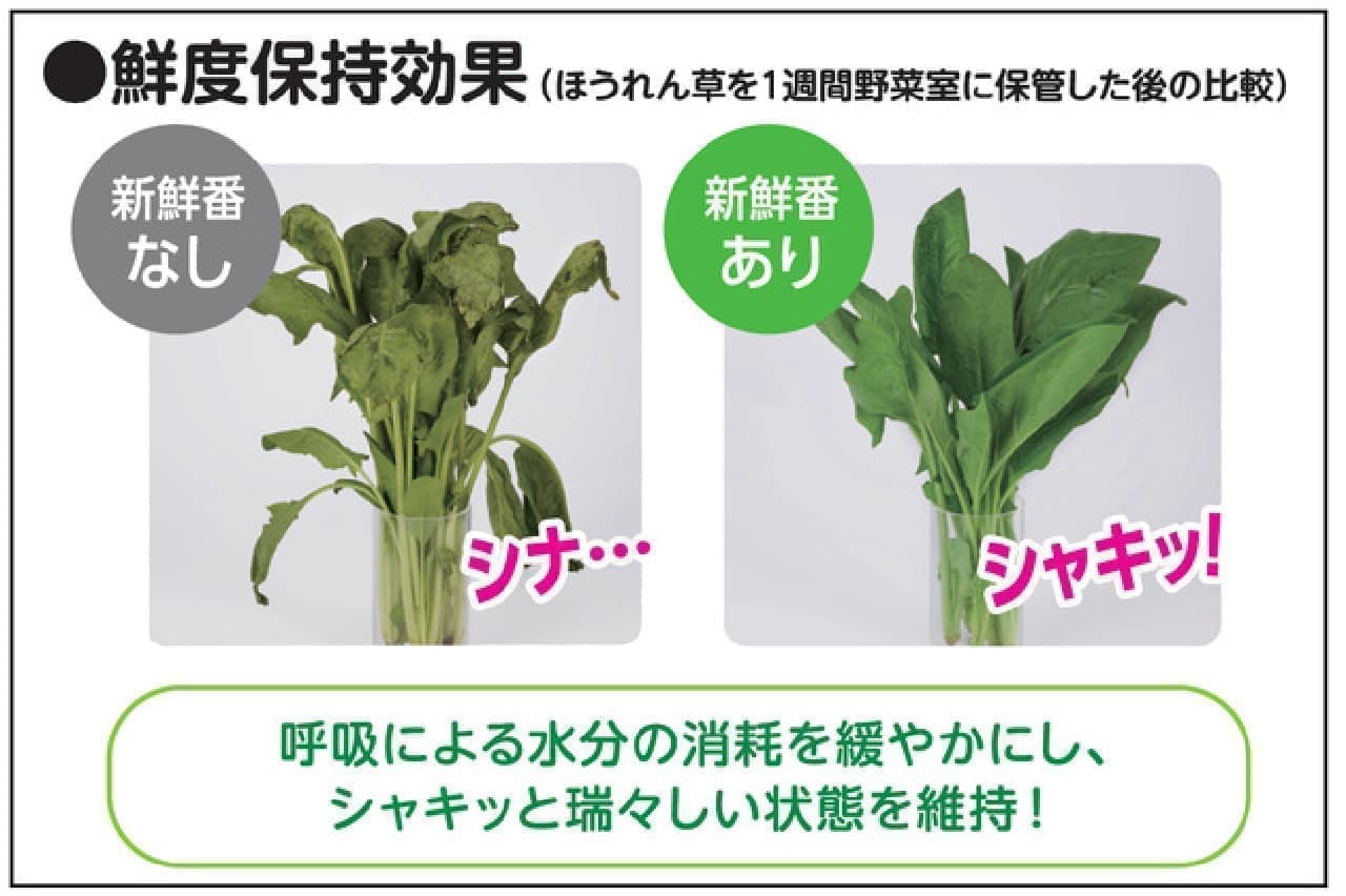 Vegetable freshness preservative "Shinsenban" from Esthey -- just put it in the vegetable compartment of a refrigerator for leafy vegetables, root vegetables, fruits, etc.