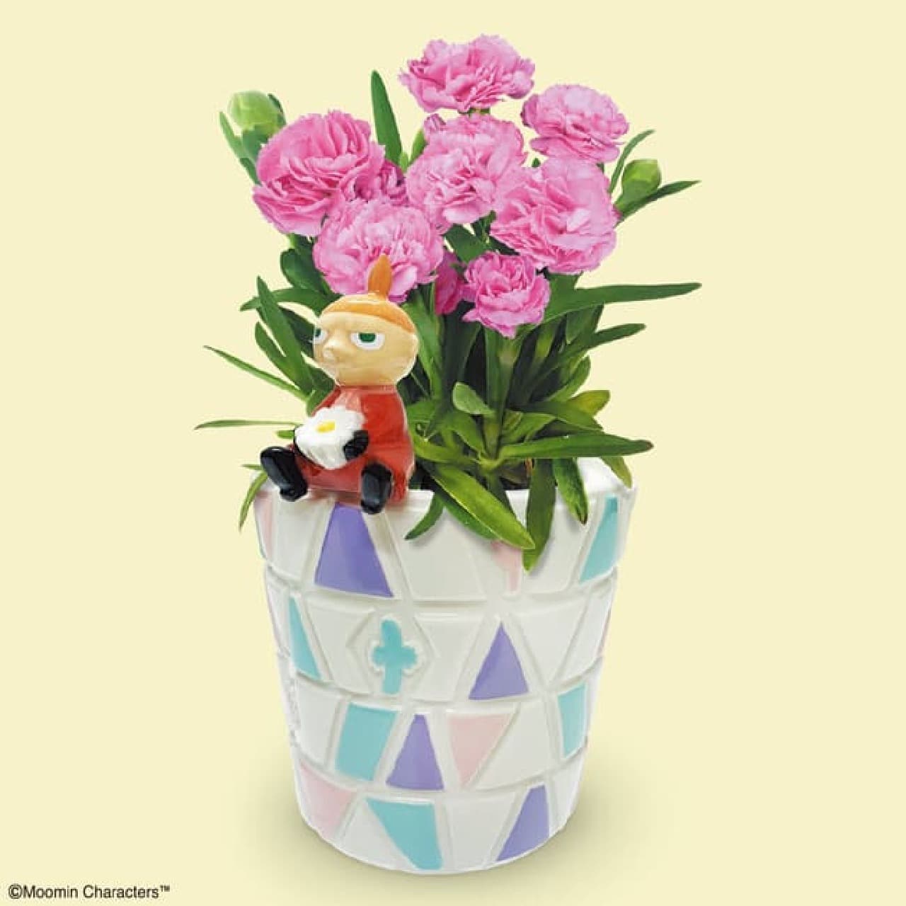 MOOMIN SHOP Mother's Day Shipping Gift -- Moomin Little Mii x Carnations! Gorgeous macaroon sets are also available.