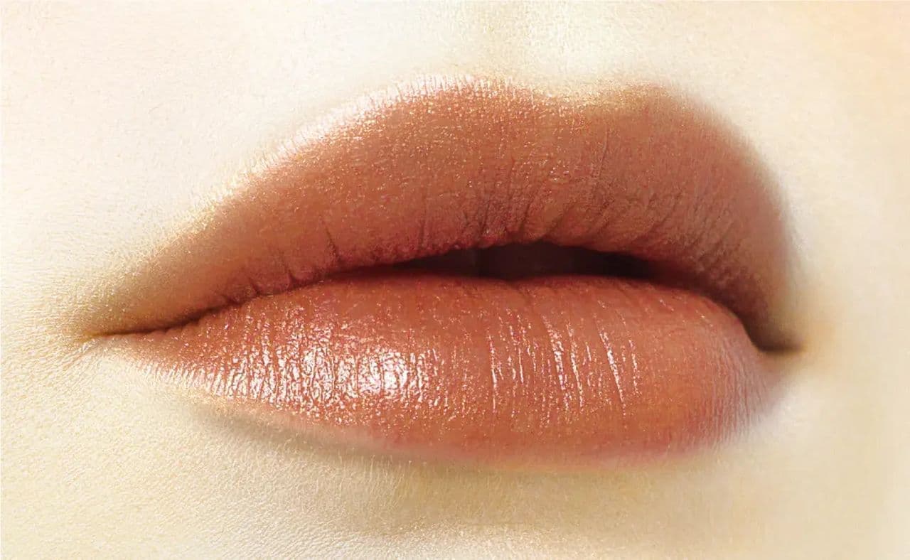 Image of the finish of Sezanne "Lip Color Shield