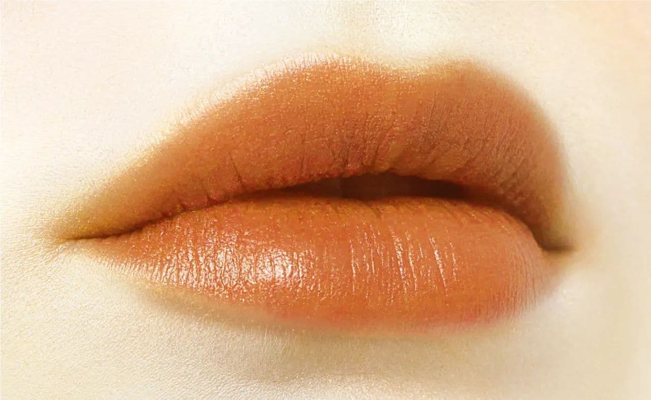 Image of the finish of Sezanne "Lip Color Shield