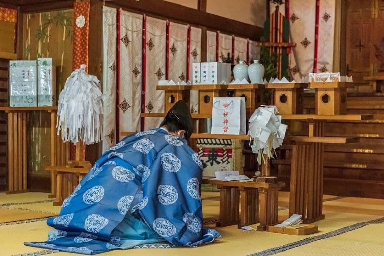 Paradoo "Sakura Veil Lip (Cherry Blossom Prayer Prayed for)", which was prayed for at Sakura Jingu Shrine.