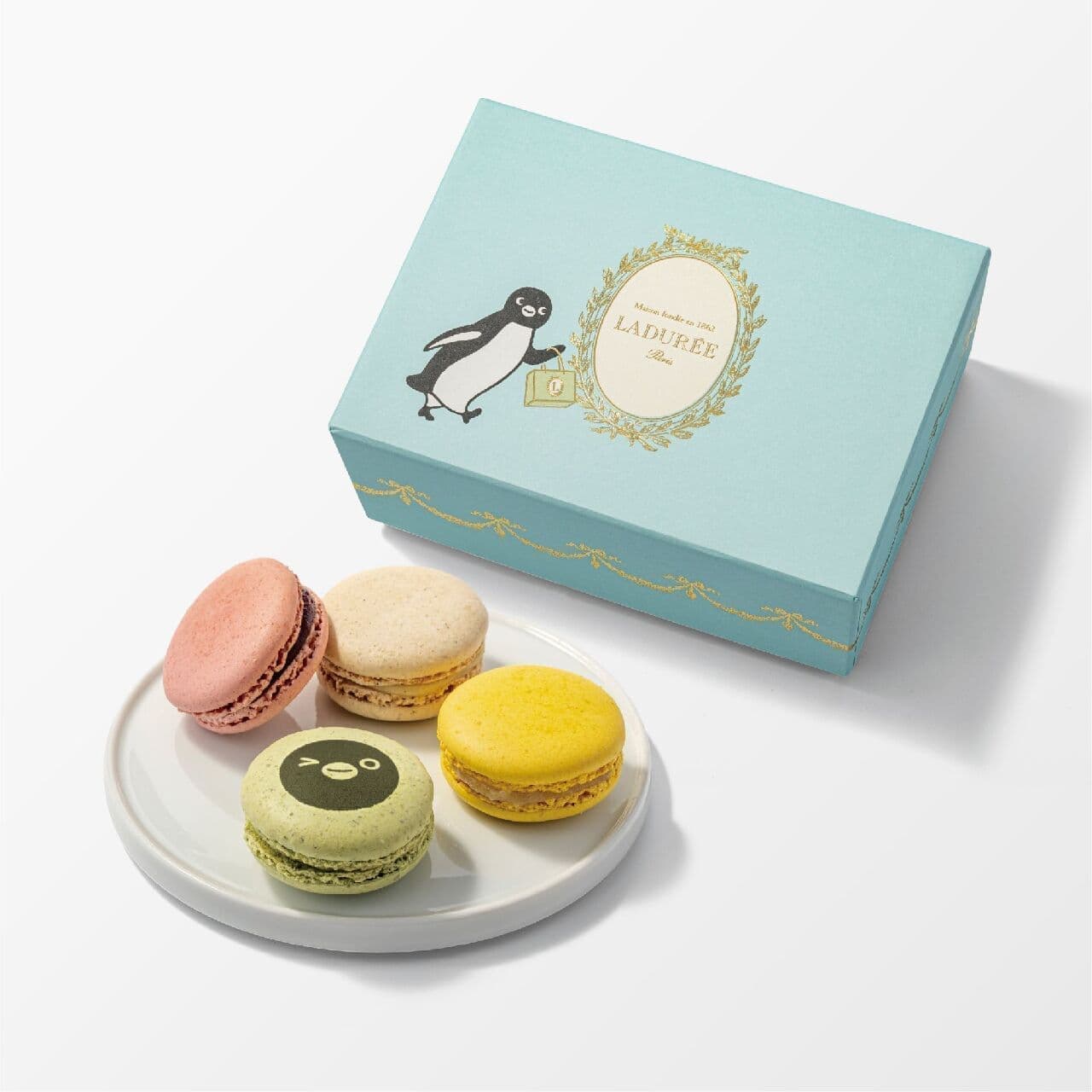 Printed macaroon "Suica's Penguin" (pistache) / Macaron box "Suica's Penguin
