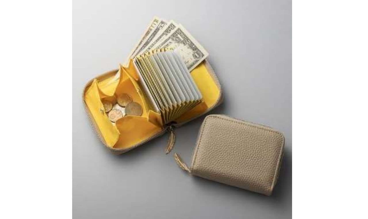Supervised by Takami, the fortune teller A mini wallet book that increases your money fortune to attract money