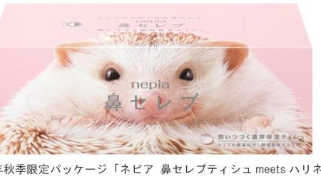 Cute hedgehog "Napier Nose Celebrity" limited package --Collaboration with the world-famous hedgehog Instagrammer