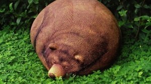 おねむなクマさんと添い寝できるクッション「Big Sleeping Grizzly Bear Bean Bag」