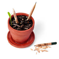 これで鉛筆を使い切れるぞ ― 土に植えると芽が出る鉛筆「Sprout Growing Pencils」