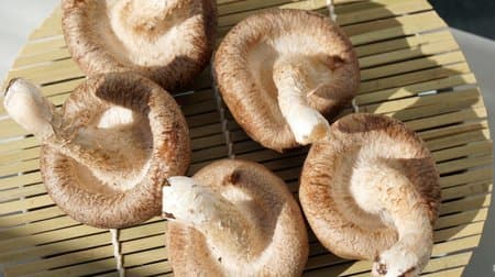 Umami of raw shiitake mushrooms UP back tricks & freezing storage method --The point is the effort on a sunny day