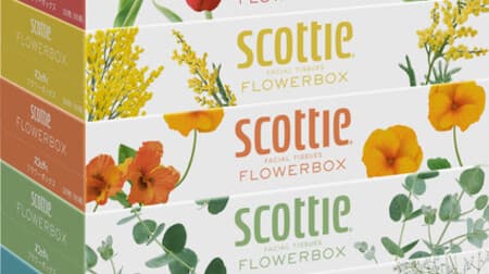 「スコッティ ティシュー フラワーボックス 5箱パック」新デザインに -- 花屋さんのワクワク感