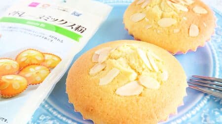 Daiso Madeleine Mix Flour Review -- Buttery and Flavorful for Snacks & Small Gifts