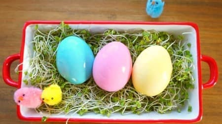 Recommended Easter Recipes -- Colorful Boiled Eggs, Rainbow Sandwich Cake, and Easter Bunny Iced Tea