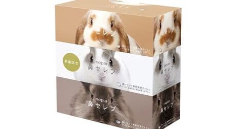 Nepia Nose Celeb Tissue Rabbit Package" Holland Lop Ear, Mini Rabbit and Lion Rabbit designs.