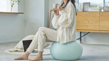 Toffy Balance Cushion" for Fitness at Home! Interior and practicality Exercise book included