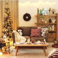 ニトリのクリスマス2023！スペース問題を解決する「ハーフツリー」「自立もする壁掛けツリー」や “電気代0円” の「ソーラーLED電飾」など