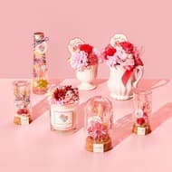 Afternoon Tea Living launches "Mom & Me." Mother's Day gift special from April 10, featuring limited wrapping and items exclusive to the online store.