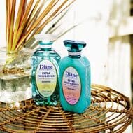 Diane Perfect Beauty "Extra Fresh & Repair" summer-only shampoo and treatment!