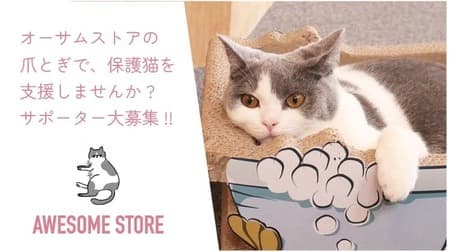 オーサムストア、猫の爪とぎ発売開始！売上の一部を保護猫活動へ寄付するクラウドファンディング開始【2023年10月1日】