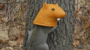 リスがリスを被ったら？ ― リスのかわいい姿を楽しめる「Big Head Squirrel Feeder」