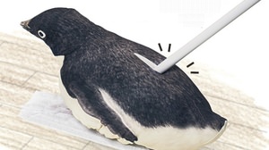 "Penguins through" where penguins slide brilliantly on the flooring