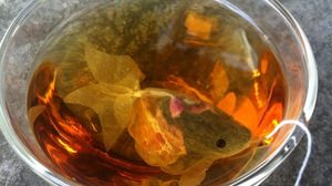 Goldfish-shaped tea bag "CHARM VILLA Goldfish Tea Bag"