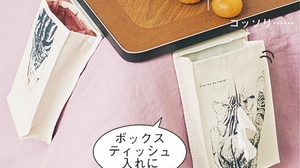 "Kotatsu oranges" for long winter nights- "Kotatsu side pockets" that make Japanese people even worse
