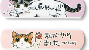 "Nyansokou", which hides scratches on cats, is about to be delivered.