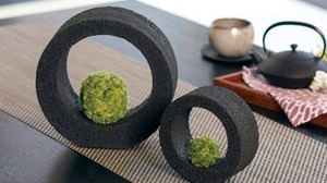 New Year with a pleasant atmosphere--"Koke-pochi", a moss ball interior that "deodorizes"