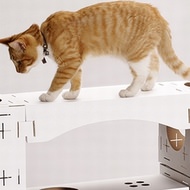 ネコがひとり遊び ネコ用のルームランナー The Cats Wall S Wheel えんウチ