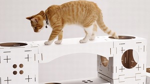 "BLOCKS" that allows you to make a cat tower that cats like-The material is cardboard, which cats love!