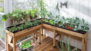 Enjoy a full-scale vegetable garden on the terrace or veranda! Britain's "Vege Trug" groundbreaking planter in Dinos