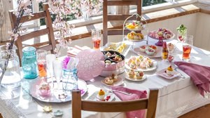 From "Afternoon Tea LIVING" to new spring items, the exciting "SAKURA" series, etc.