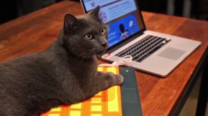 ほんのり、あったか～い ― “ネコぱんち”からキーボードを守る「Hot Keys」