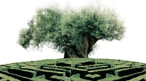 Hunt the rare plants of the world! A huge maze produced by plant hunter Seijun Nishihata is in Fukuoka