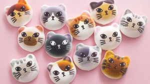 Shinjuku is covered with cats-Felicimo Cat Club opens a limited-time shop in "Shinjuku Marui"
