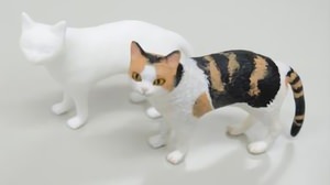 Only one in the world! From Sakura Color Products, a kit for making figures of your cat