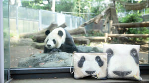 パンダの「シンシン」がどーん！上野動物園と「Myalka（ミャルカ）」のコラボ雑貨がかわいい