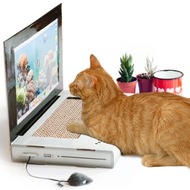 今日はメール来てるかにゃ…？ノートPC型爪とぎ「CAT SCRATCH LAPTOP」