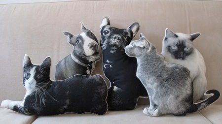 Custom Silkscreen Pet Pillow, a fashionable pillow made from pet photos.