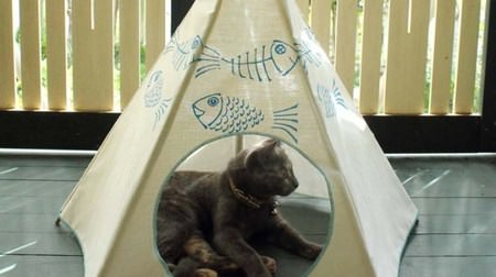 ネコだってキャンプしたい…ネイティブアメリカンの「Teepee」をモチーフにしたネコ用テント「Kiteepee」